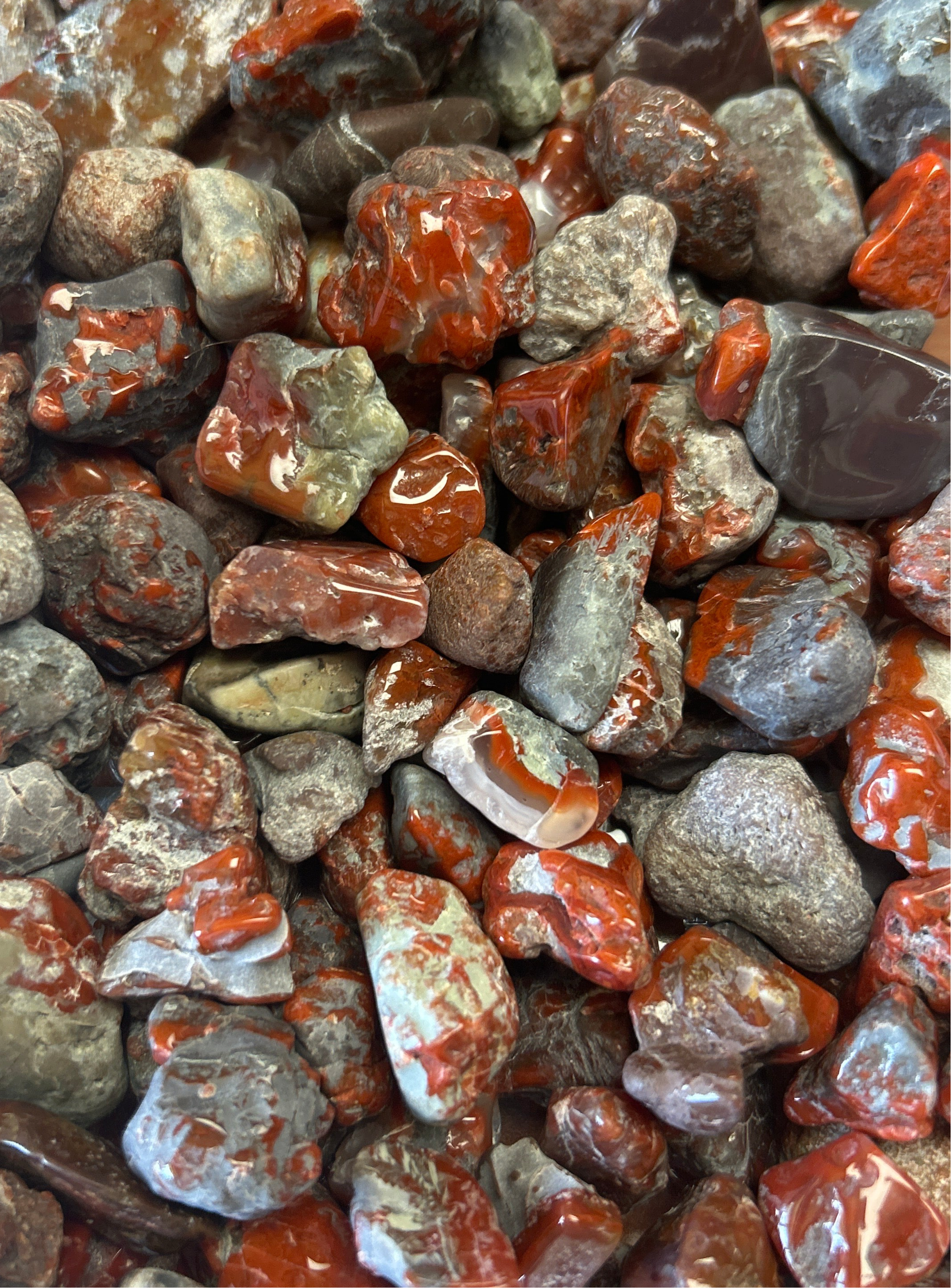 Red Agate Tumbles Utah BLT